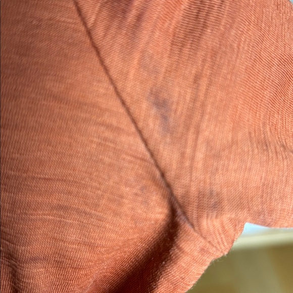 Ibex Burnt Orange Tee - Picture 3 of 4